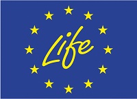 life 200x144