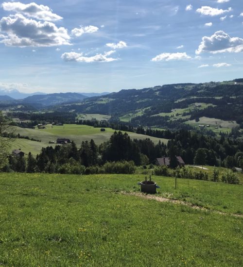 Allgaeu_1 IFR Region Allgäu 1