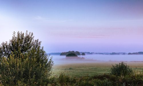 gartow-5787100_960_720 Wendland Pixabay